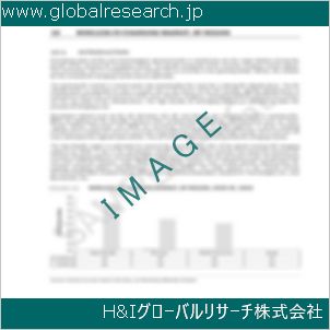 グローバルリサーチ調査資料のイメージ